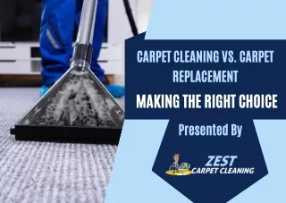 Cost-Effective Strategies for Clean and Fresh Carpets