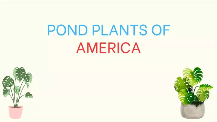 pond plants of america
