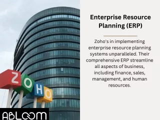 Enterprise Resource Planning (ERP)