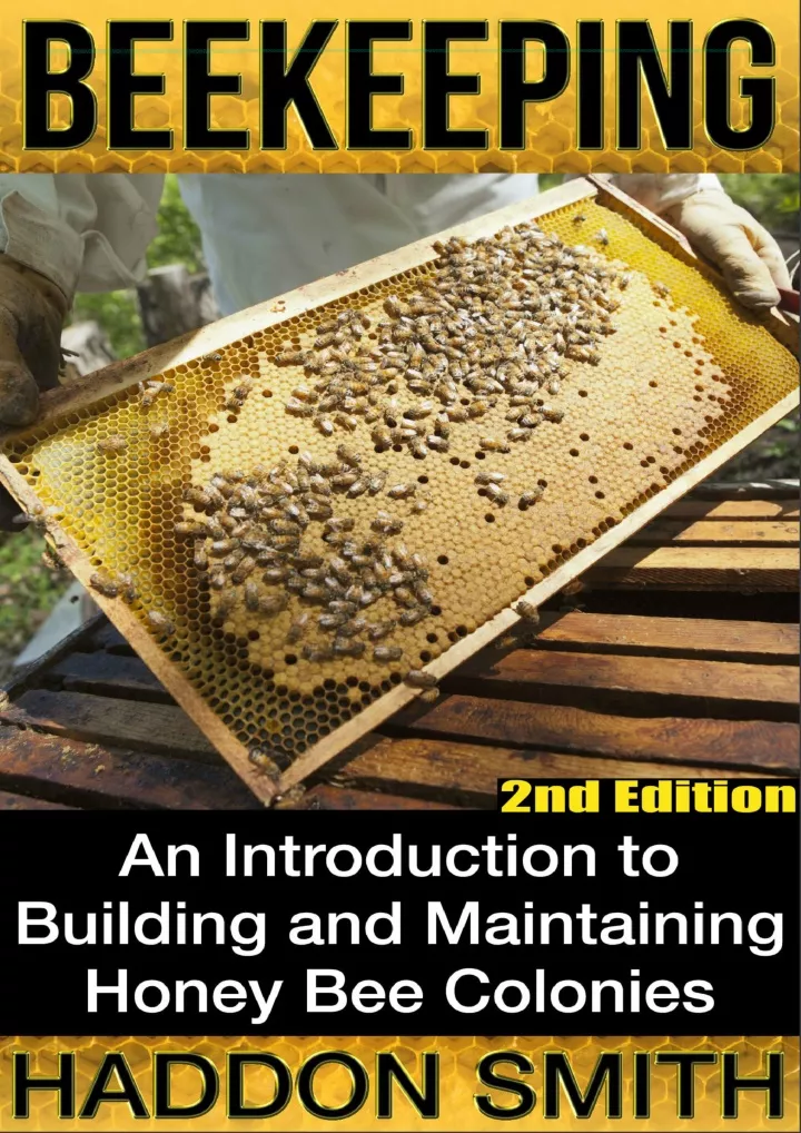 beekeeping an introduction to building