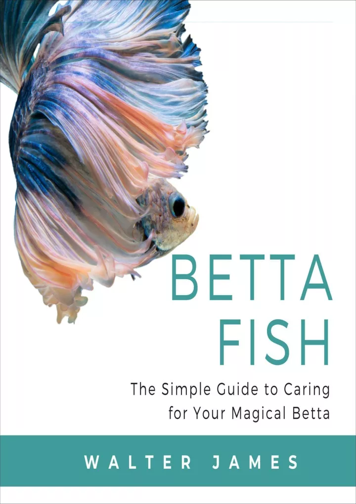 betta fish the simple guide to caring for your