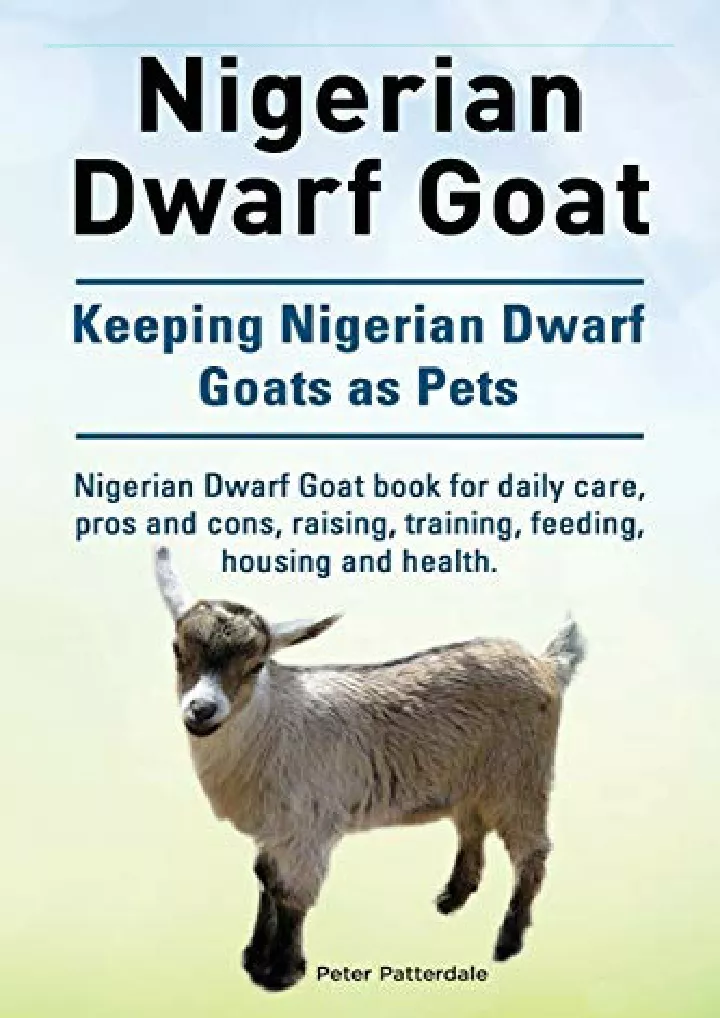 nigerian dwarf goat keeping nigerian dwarf goats
