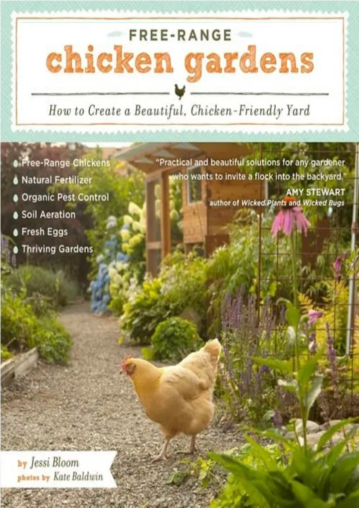 free range chicken gardens how to create