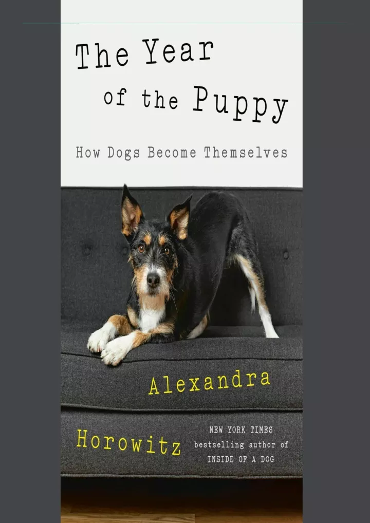 the year of the puppy how dogs become themselves