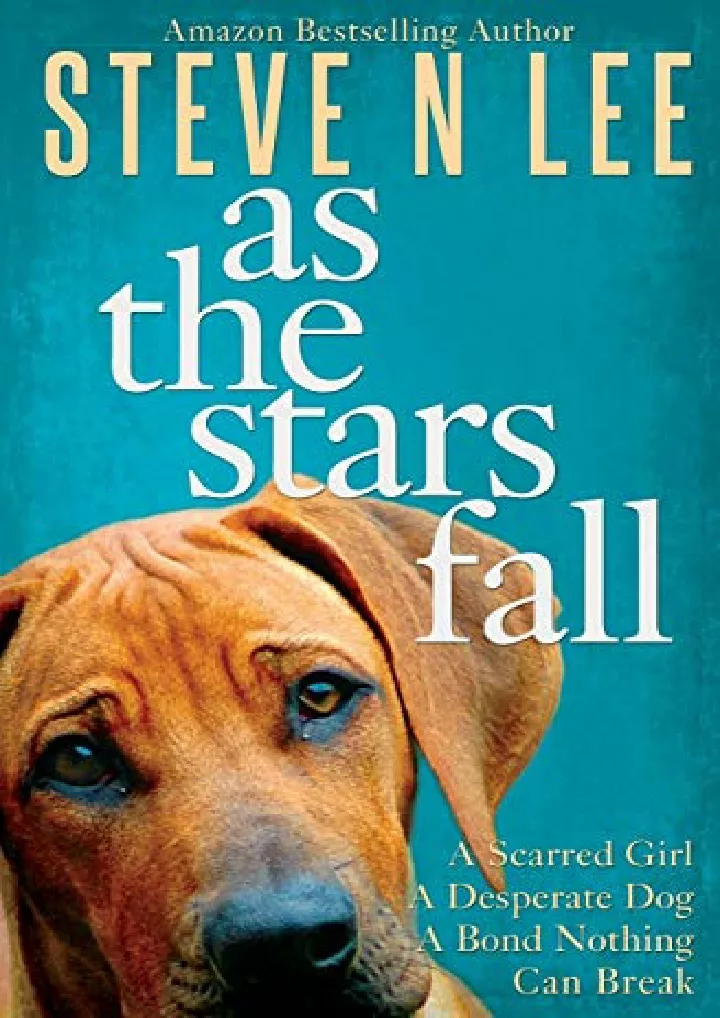 as the stars fall a heartwarming dog novel books