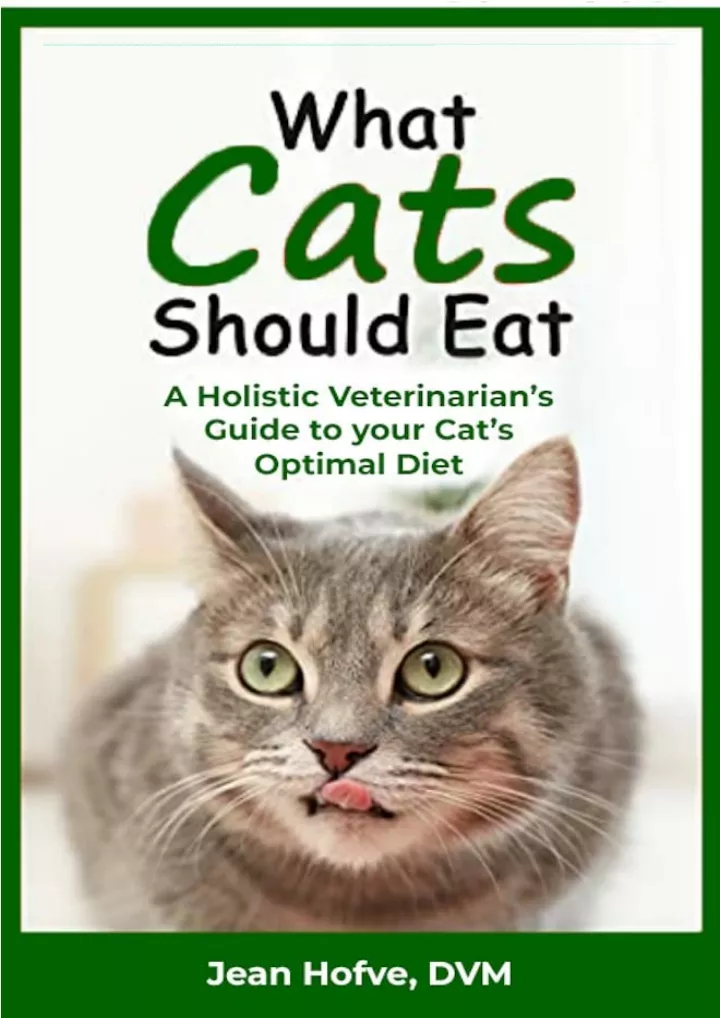 what cats should eat a holistic veterinarian