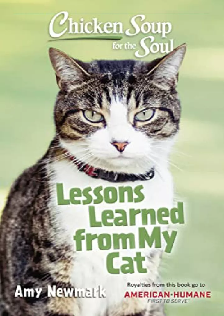 chicken soup for the soul lessons learned from