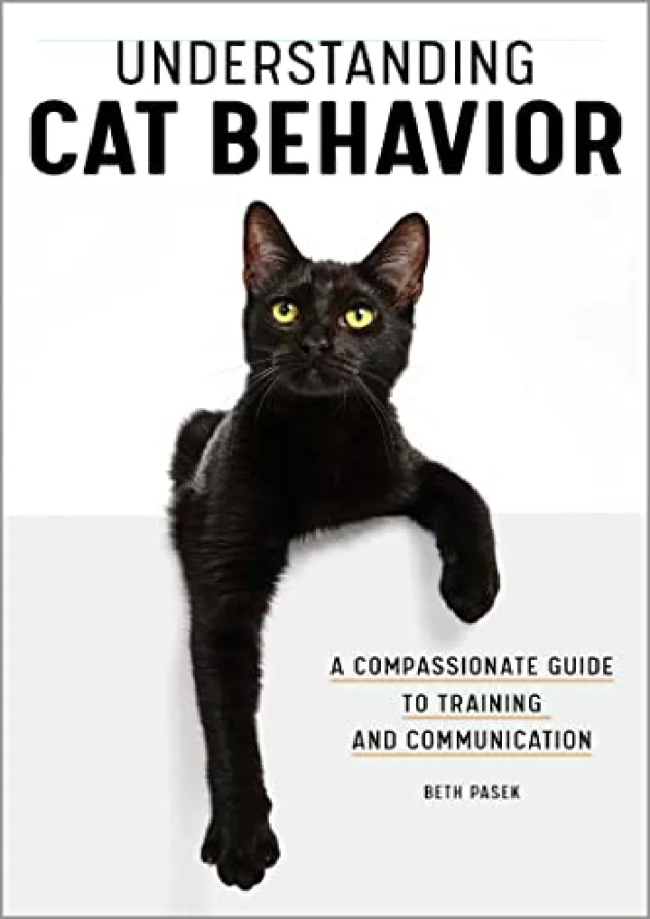 understanding cat behavior a compassionate guide