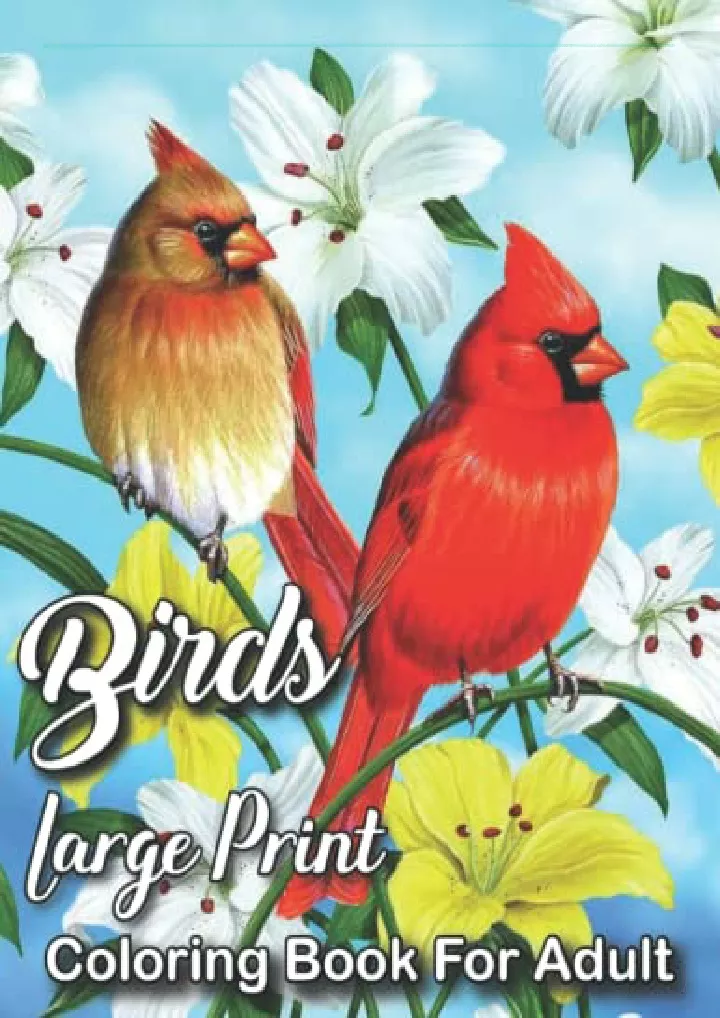 birds large print coloring book for adult birds