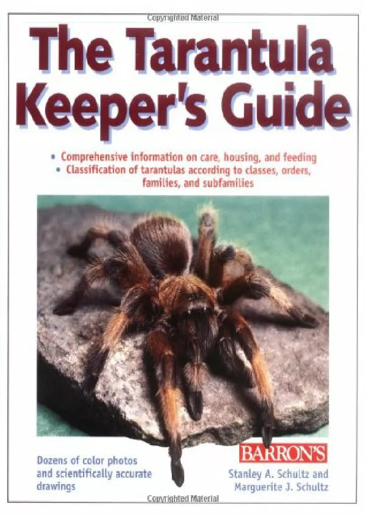 tarantula keeper s guide the download pdf read