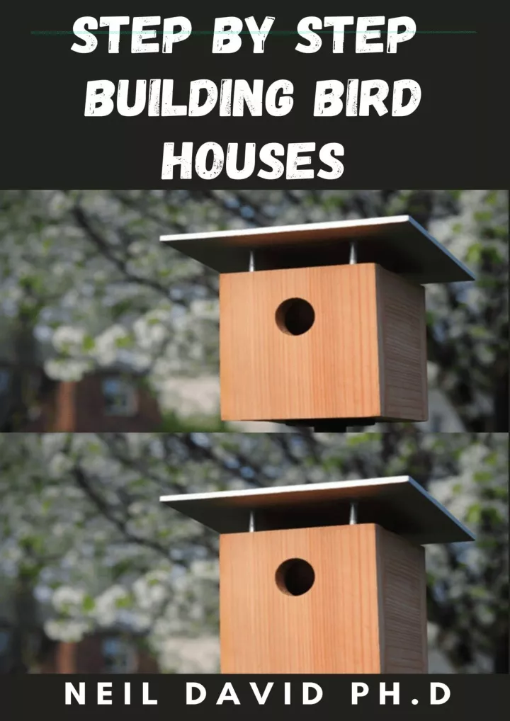 step by step building bird houses essential guide