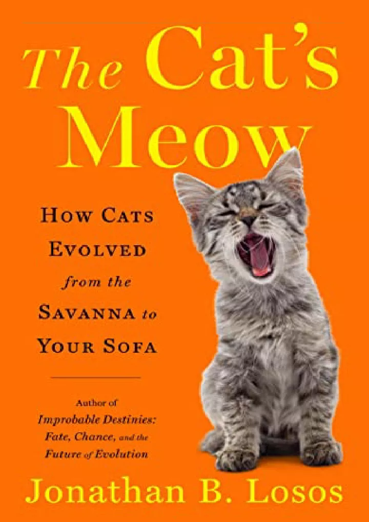 the cat s meow how cats evolved from the savanna