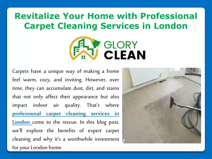 revitalize your home with professional carpet