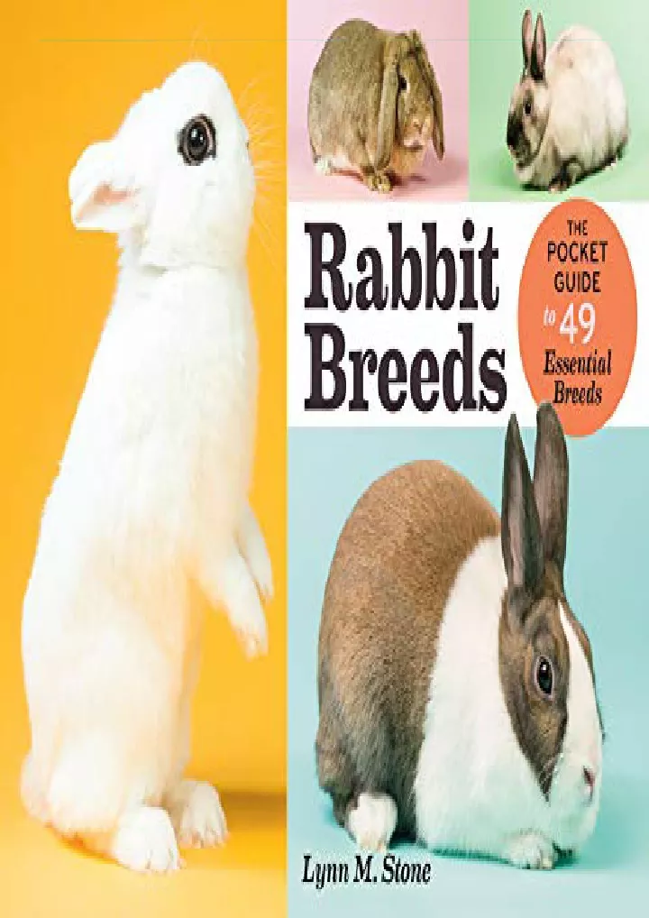 rabbit breeds the pocket guide to 49 essential