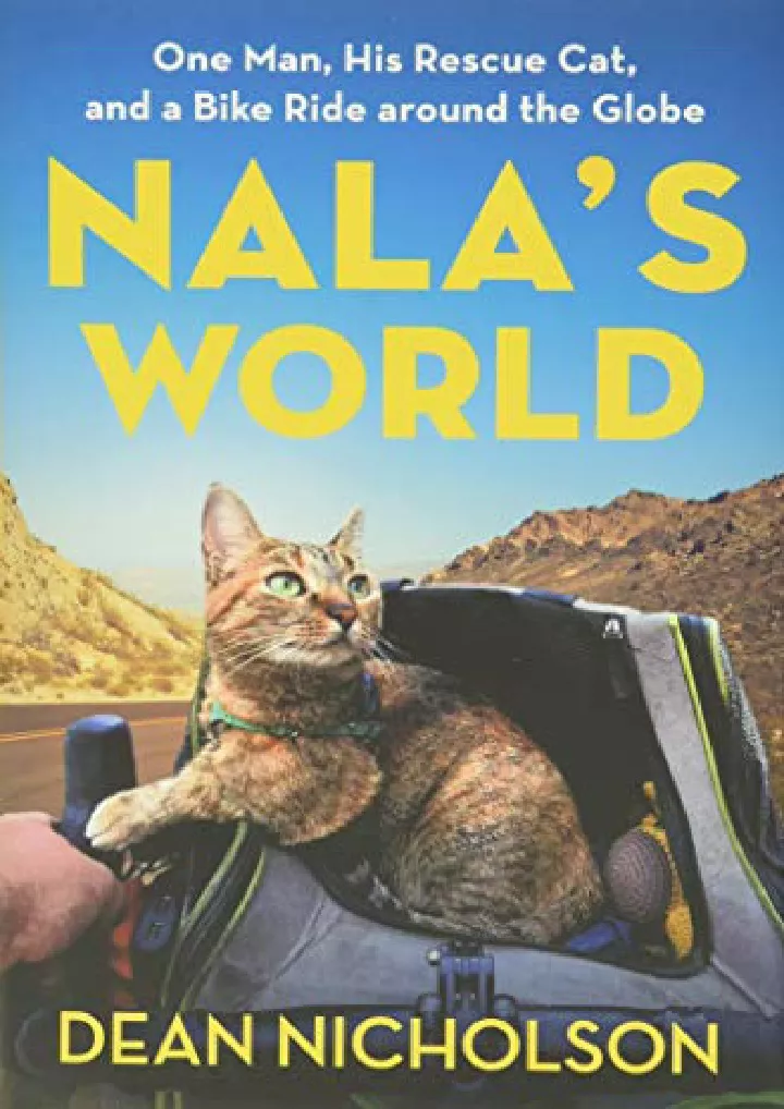 nala s world one man his rescue cat and a bike