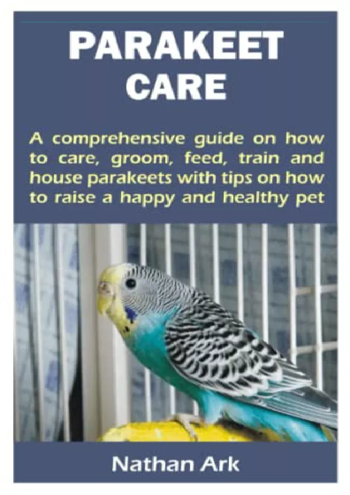 parakeet care a comprehensive guide