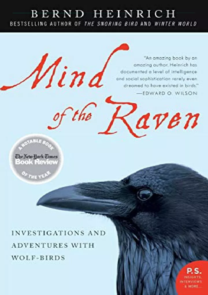 mind of the raven investigations and adventures