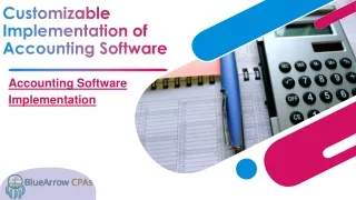Customizable accounting software