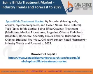 Global Spina Bifida Treatment Market