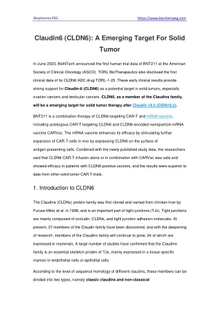 Claudin6 (CLDN6) A Emerging Target For Solid Tumor