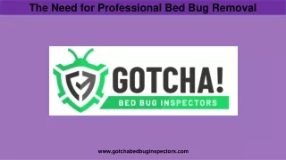 the need for professional bed bug removal