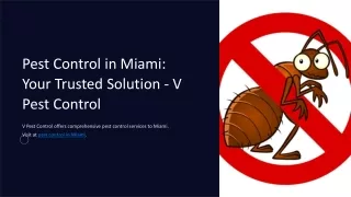 Pest Control in Miami Your Trusted Solution - V Pest Control