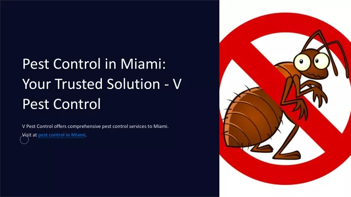 pest control in miami your trusted solution