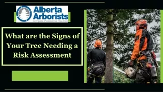 What are the Signs of Your Tree Needing a Risk Assessment