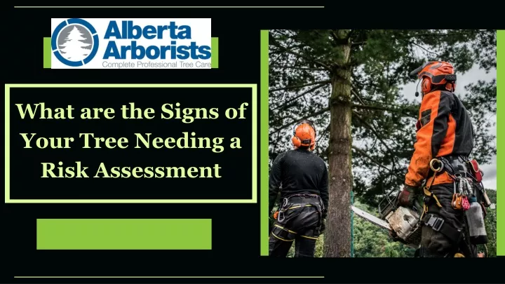 what are the signs of your tree needing a risk