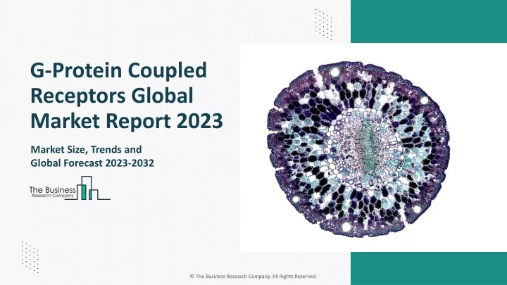 g protein coupled receptors global market report