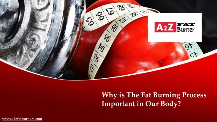 why is the fat burning process important