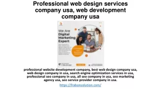 Professional web design services company usa, web development company usa