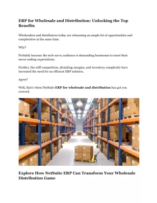 NetSuite - ERP for Wholesale and Distribution