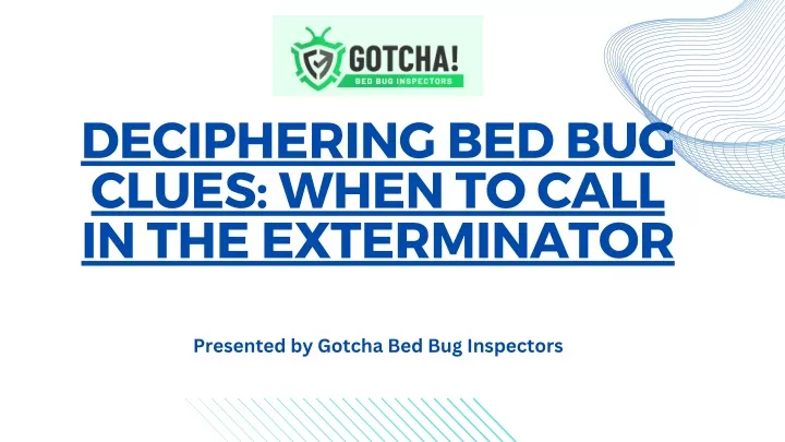 deciphering bed bug clues when to call