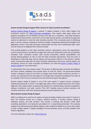 systems analysis design support offers services