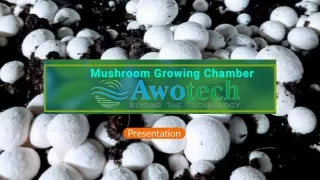 mushroom growing Chamber-Awotech (1)