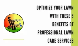 Optimize Your Lawn with These 5 Benefits of Professional Lawn Care Services