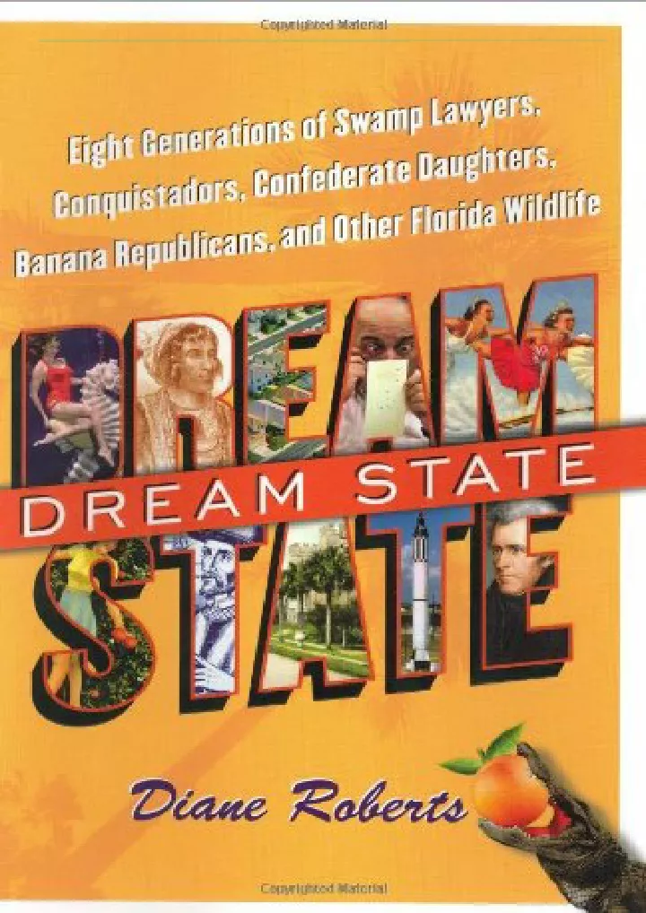 dream state eight generations of swamp lawyers