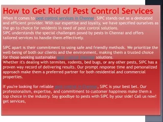 Pest Control Services Chennai
