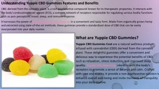 Yuppie CBD Gummies