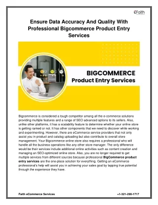 Ensure Data Accuracy and Quality with Professional Bigcommerce Product Entry