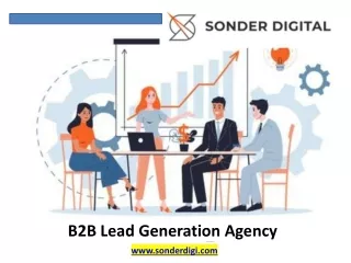 B2B Lead Generation Agency - sonderdigi.com