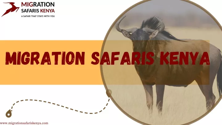 migration safaris kenya