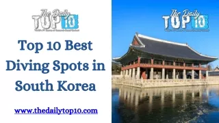 Top 10 Best Diving Spots in South Korea