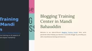 Blogging-Training-Center-in-Mandi-Bahauddin (1)