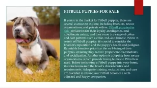 pitbull puppies for sale.