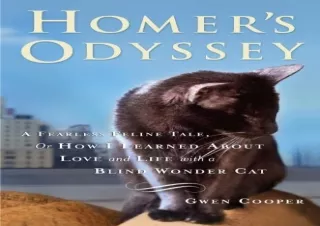 PDF/READ Homer's Odyssey