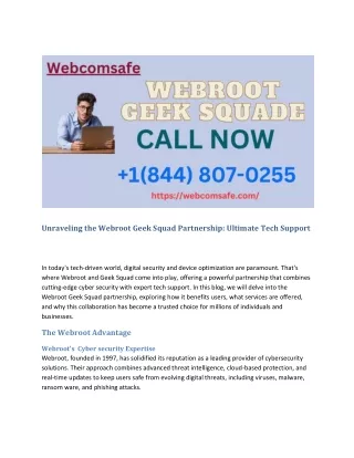 Unraveling the Webroot Geek Squad Partnership