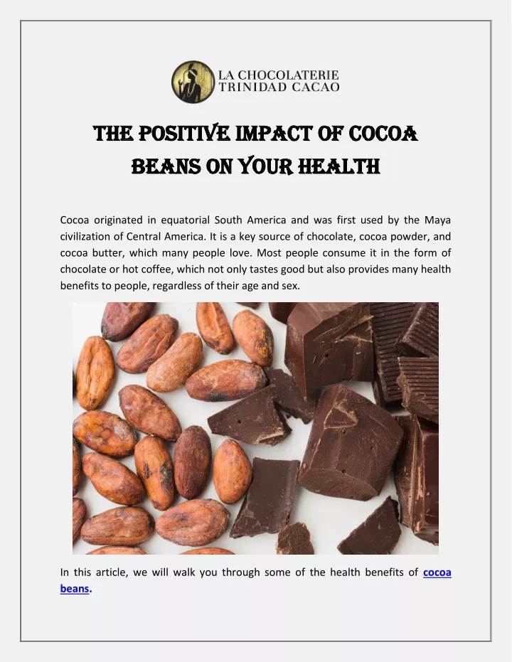 the positive impact of cocoa the positive impact