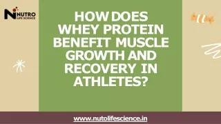 How does whey protein benefit muscle growth and recovery in athletes